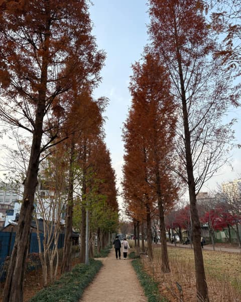 걷고 싶은 거리 이화여대길 사진 9