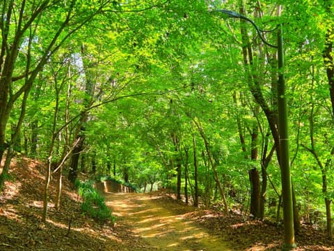 계남근린공원 산책코스 사진 1