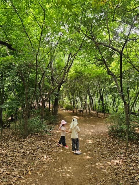 계남근린공원 산책코스 사진 2