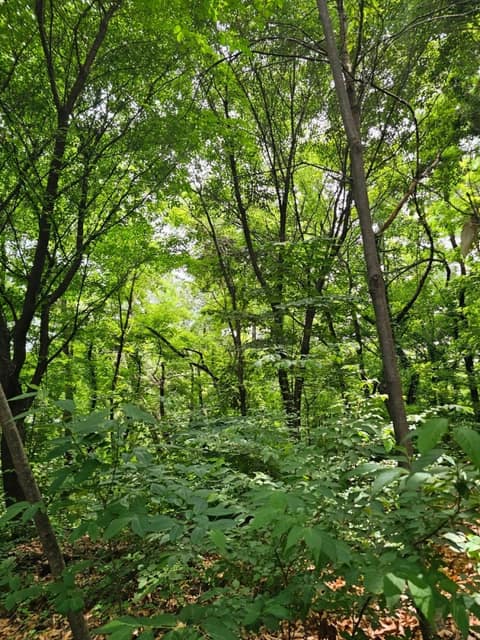 계남근린공원 산책코스 사진 4