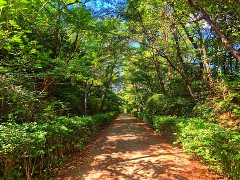 계남근린공원 산책코스 사진 5