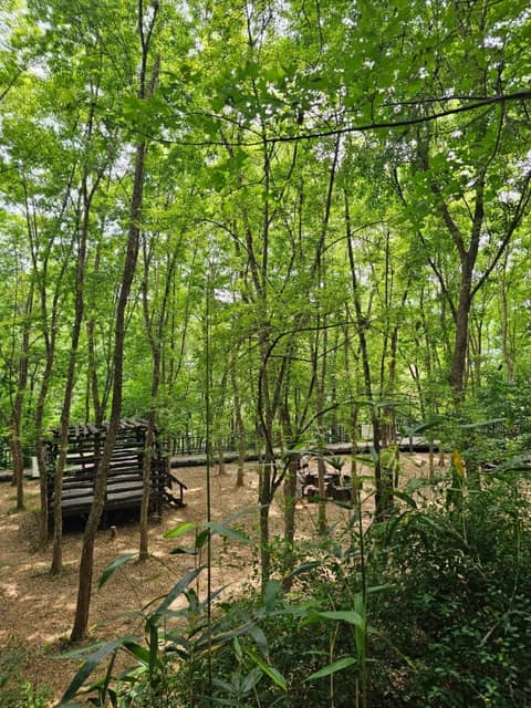계남근린공원 산책코스 사진 6