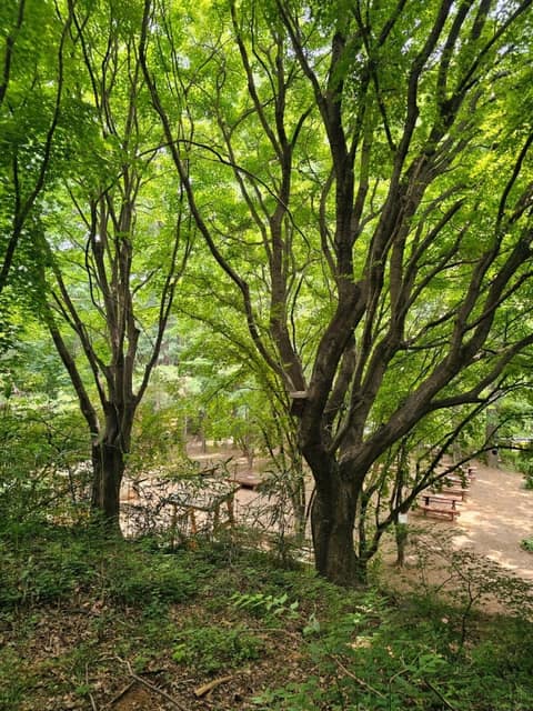계남근린공원 산책코스 사진 7