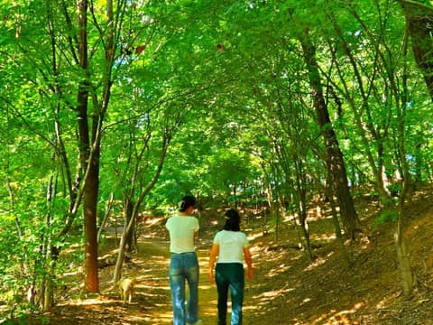 계남근린공원 산책코스 사진 9
