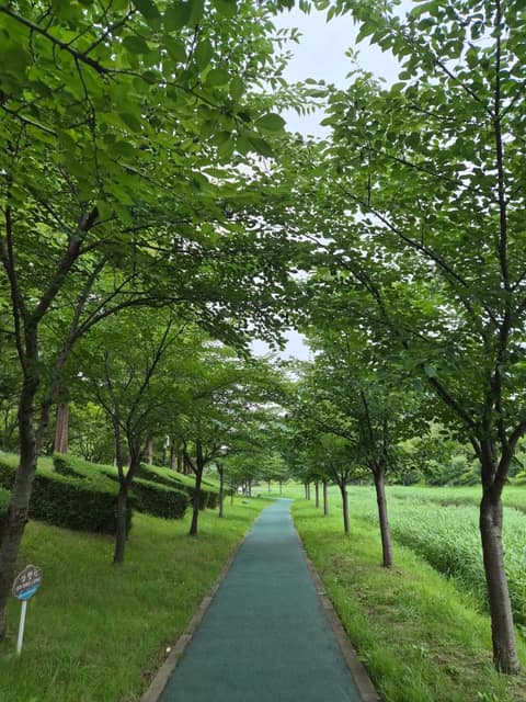 삼향천 산책로 사진 1