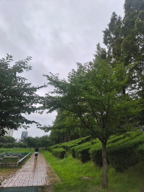삼향천 산책로 사진 2