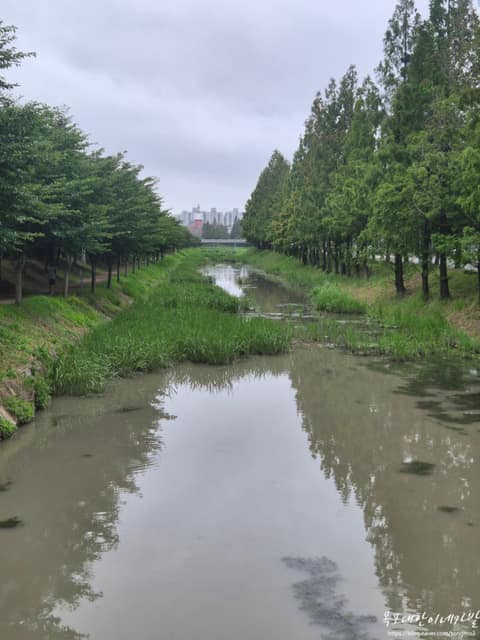 삼향천 산책로 사진 3