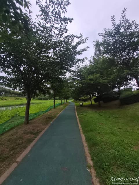 삼향천 산책로 사진 4