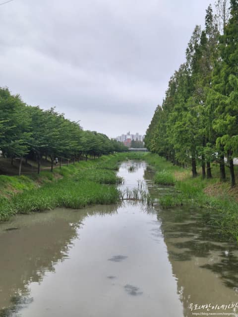 삼향천 산책로 사진 5