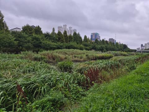 삼향천 산책로 사진 6