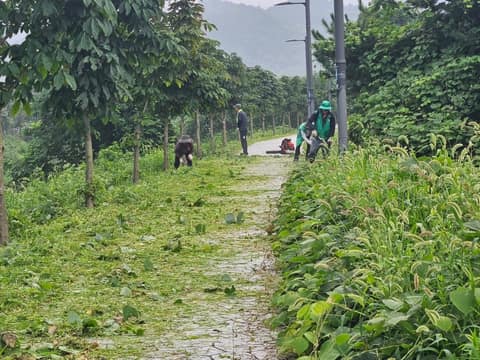 조동천 감성길 산책로(동량면) 사진 1