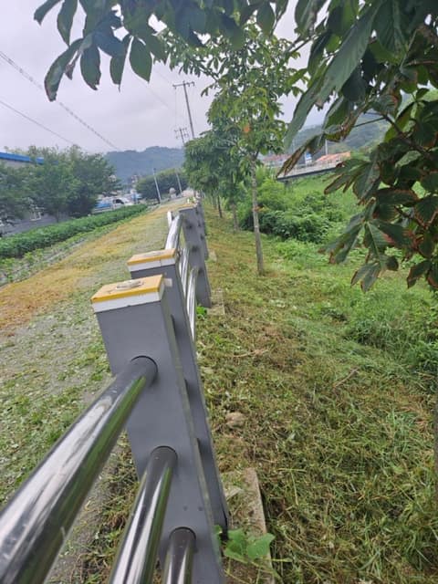 조동천 감성길 산책로(동량면) 사진 6