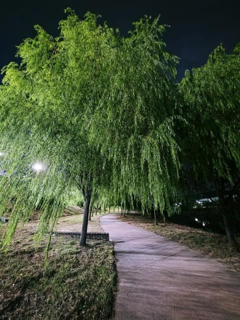 구미 해마루공원 산책길 사진 3