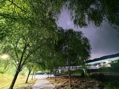 구미 해마루공원 산책길 사진 4