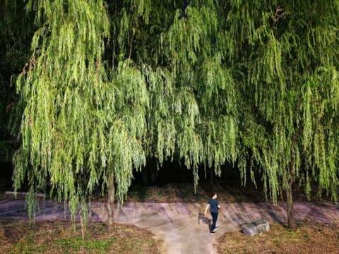 구미 해마루공원 산책길 사진 7