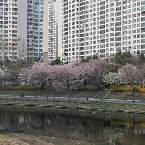 탄천 2코스 사진 4