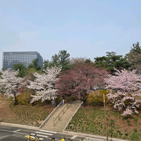 탄천 2코스 사진 6