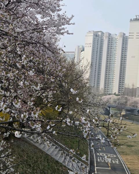 탄천 2코스 사진 7