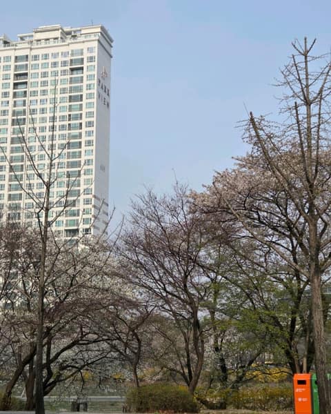 탄천 2코스 사진 8