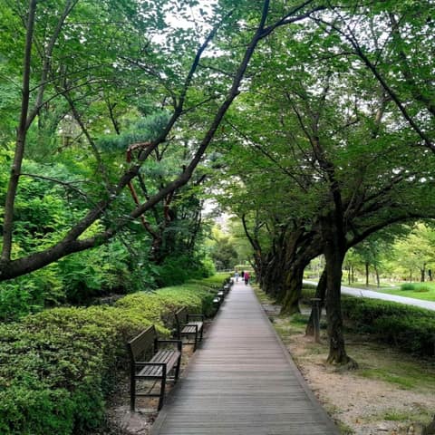 북서울꿈의숲 대표 산책길 사진 1