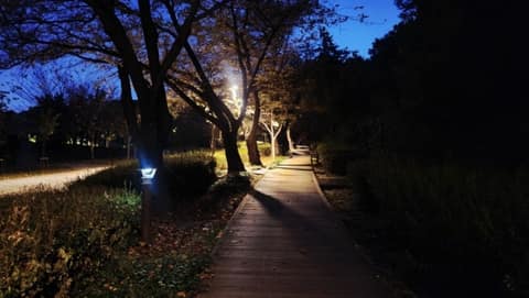 북서울꿈의숲 대표 산책길 사진 5