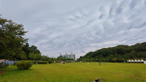 북서울꿈의숲 대표 산책길 사진 6