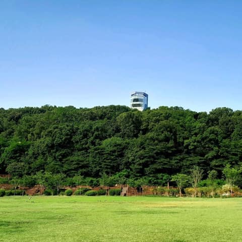 북서울꿈의숲 대표 산책길 사진 10