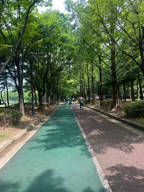 대현산배수지공원 대표 산책길 사진 3