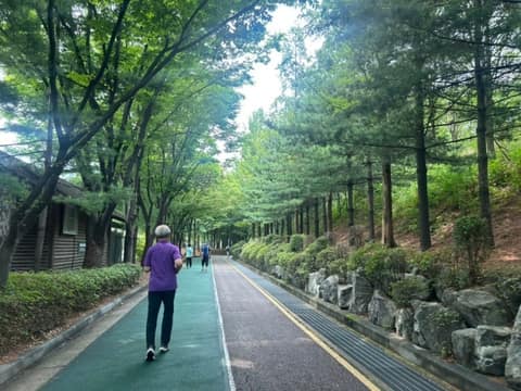 대현산배수지공원 대표 산책길 사진 4