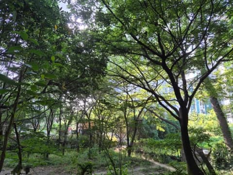 입화산 참살이 숲 누리길 01코스 사진 1
