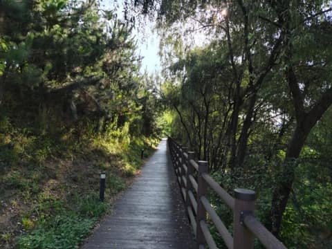 입화산 참살이 숲 누리길 01코스 사진 3