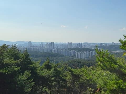 입화산 참살이 숲 누리길 01코스 사진 4