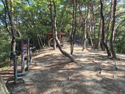 입화산 참살이 숲 누리길 01코스 사진 10