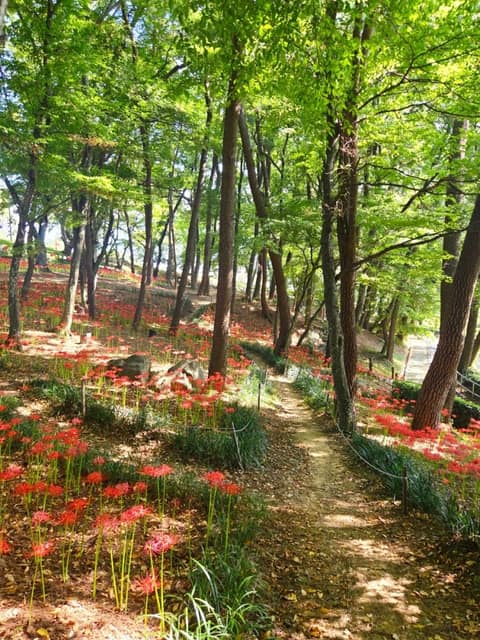 수양공원 걷기코스 사진 1