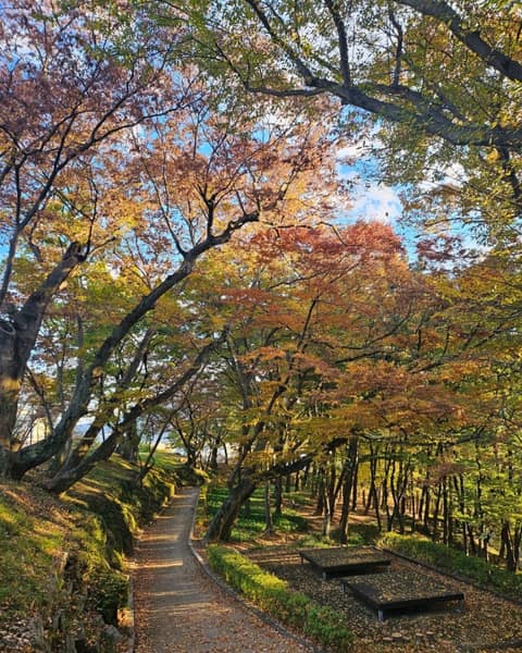 수양공원 걷기코스 사진 2