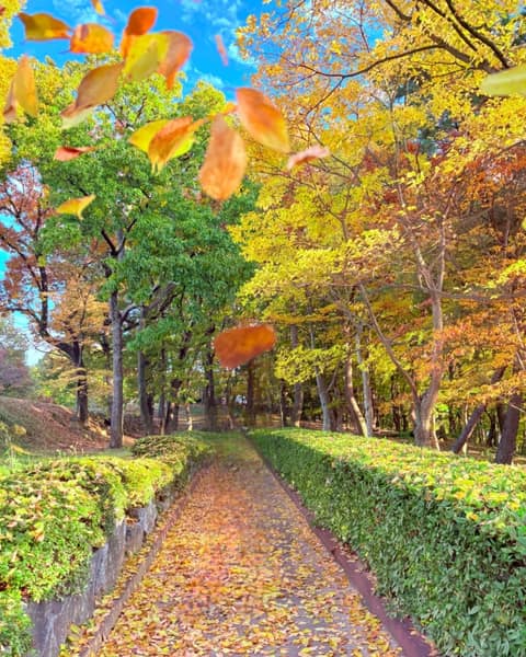 수양공원 걷기코스 사진 3