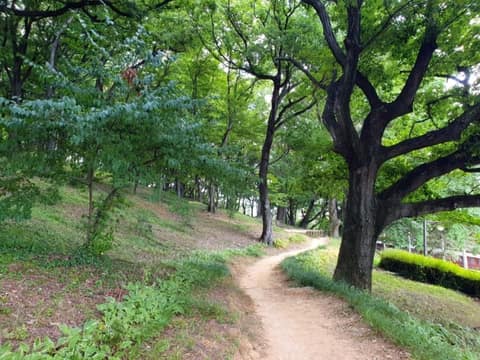 수양공원 걷기코스 사진 4