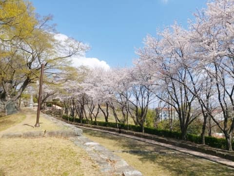 수양공원 걷기코스 사진 5