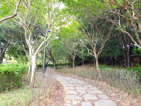 수양공원 걷기코스 사진 6