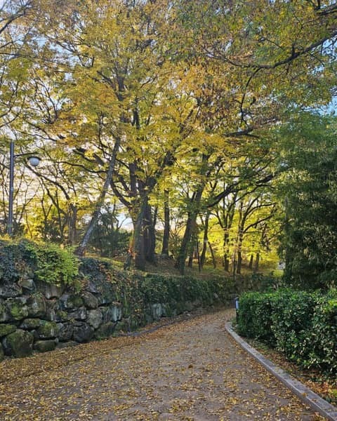 수양공원 걷기코스 사진 7