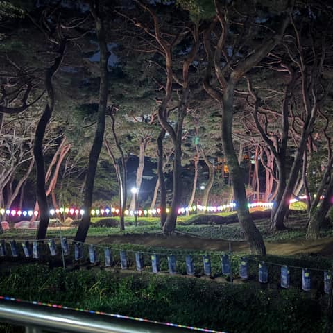 수양공원 걷기코스 사진 9