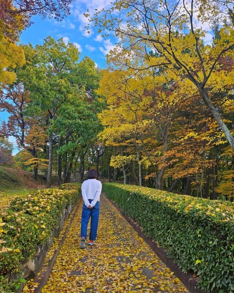 수양공원 걷기코스 사진 10