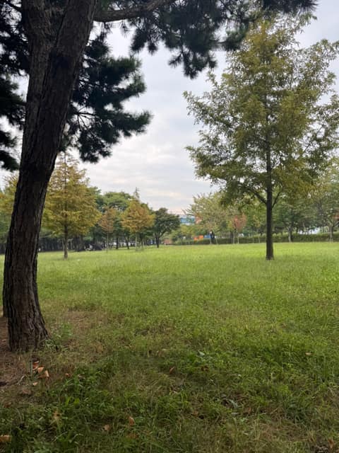학익에코테마파크 산책코스 사진 1