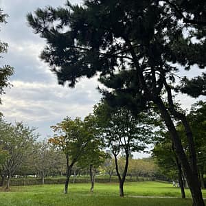 학익에코테마파크 산책코스 사진 2