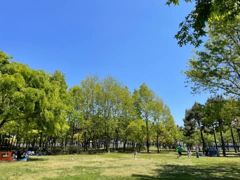 학익에코테마파크 산책코스 사진 3