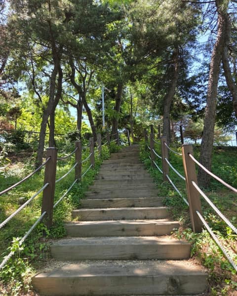 수봉산 둘레 마실길 2 사진 5