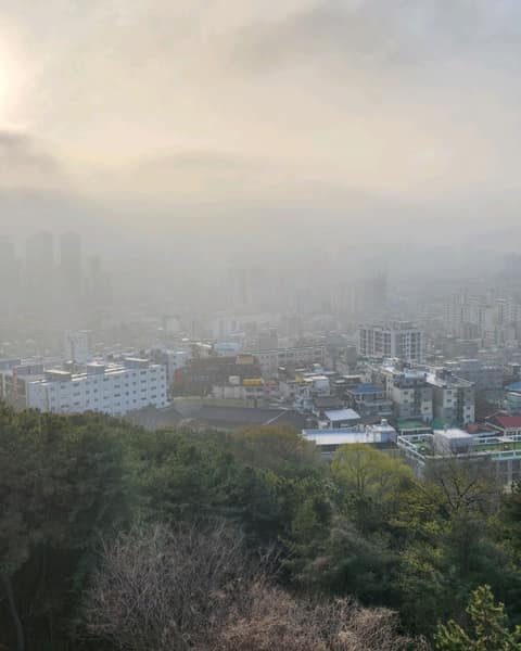 수봉산 둘레 마실길 2 사진 6