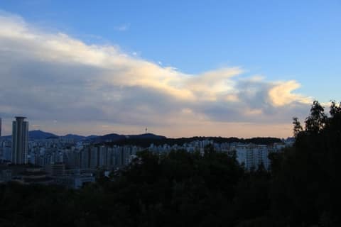 월곡산-오동근린공원 산책코스 사진 5