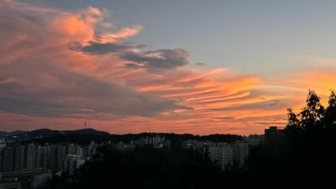 월곡산-오동근린공원 산책코스 사진 9