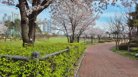 서창동 물빛공원 산책길 사진 7